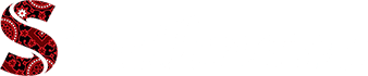 Sindh News logo